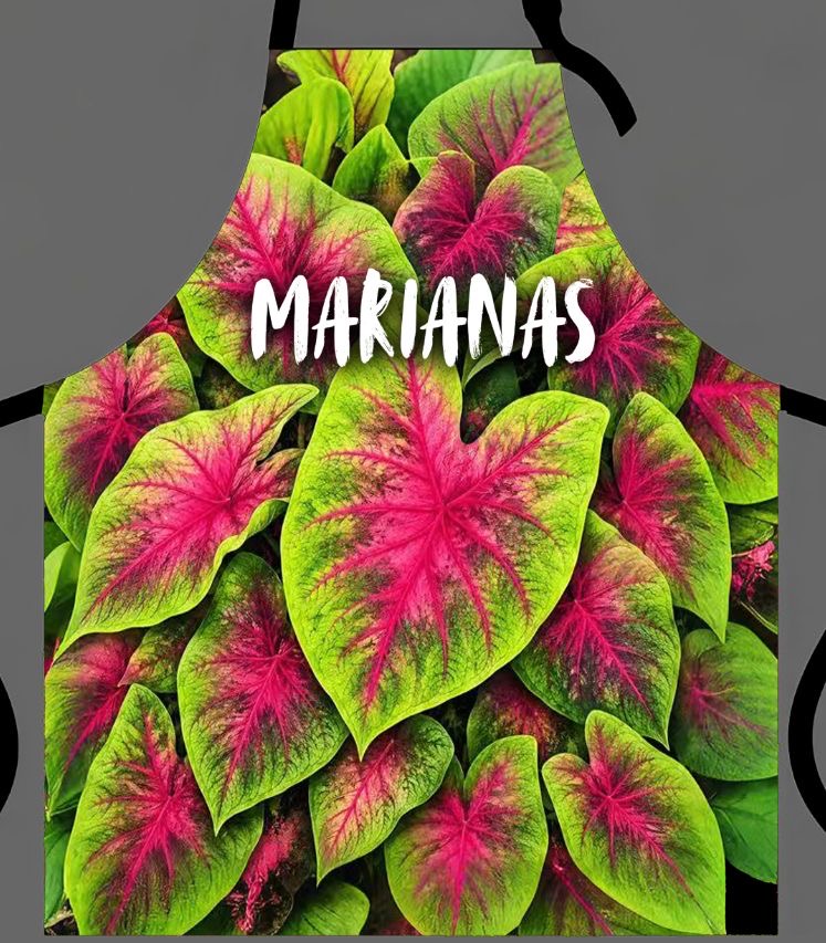 Marianas Apron